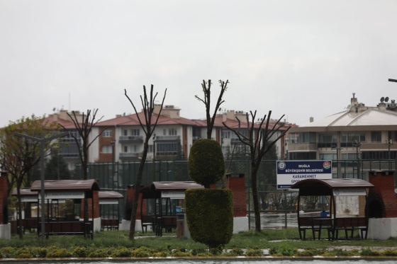 Muğla’da Ağaçlara Gençlik Aşısı: Hem Doğa Hem Güvenlik İçin Budama