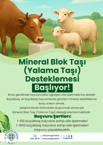 Mineral Blok Taşı Desteklemesi Başlıyor Etkinliğine Davetlisiniz