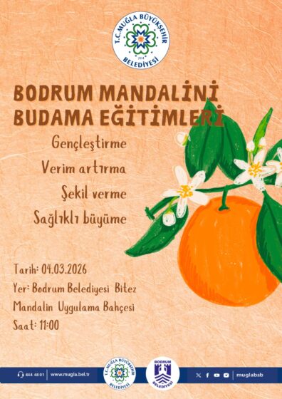Bodrum Mandalini Budama Eitimleri Etkinliğine Davetlisiniz